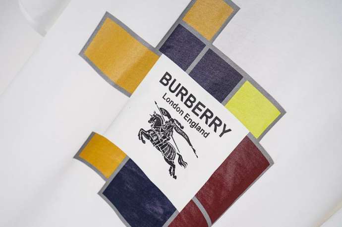 Picture of Burberry T Shirts Short _SKUBurberryS-XXLqntQ59333216